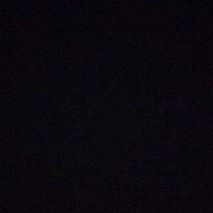 Meet your Posher, Will